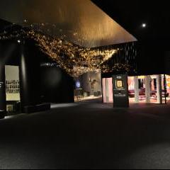 Flylight at PAD by Franck Saada